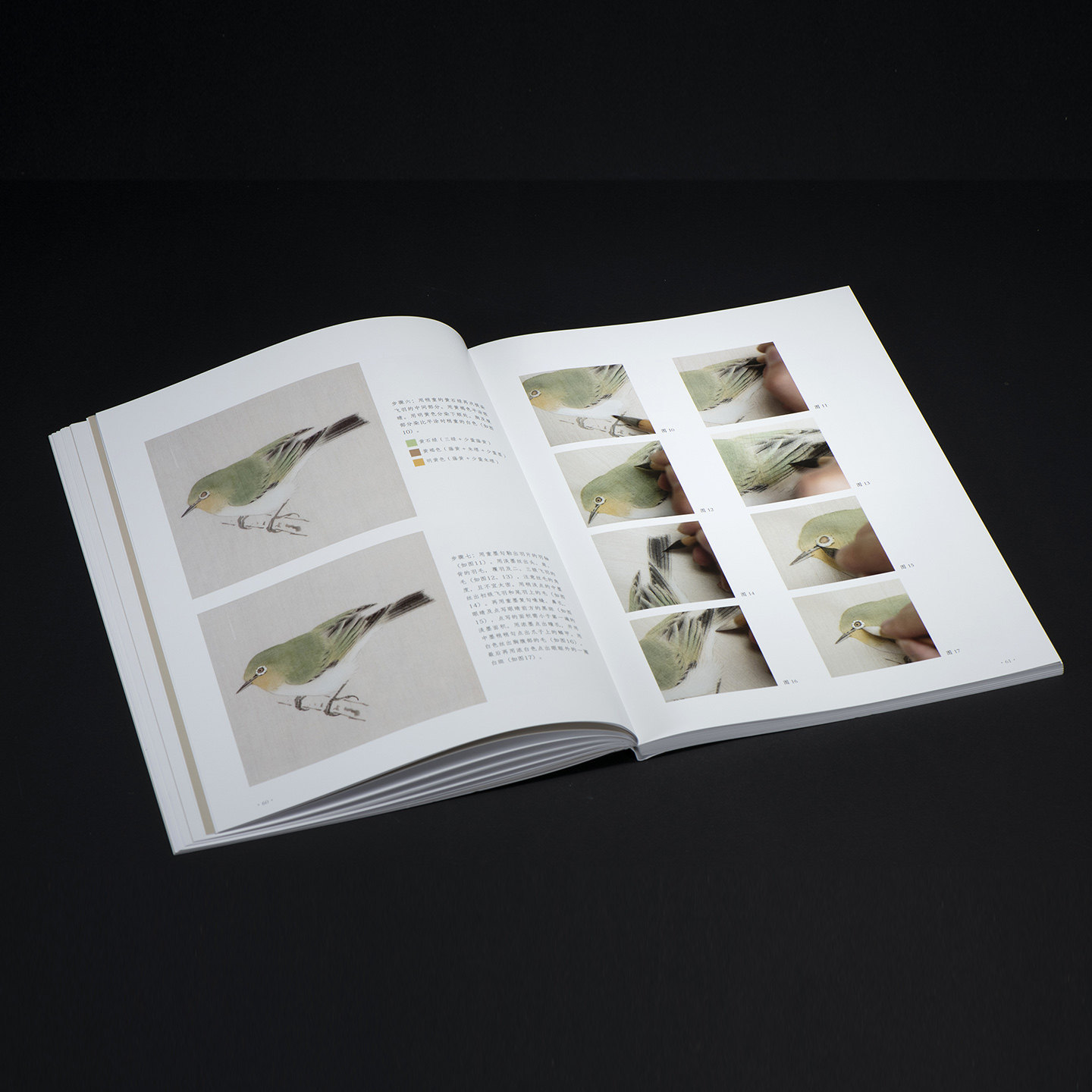 观物之生 : 中国画工笔禽鸟写生技法 宋代工笔禽鸟画绘画技法入门教程工具材料基本设色技法详解 20只常见鸟类写生创作示范画画书,淘宝优惠券,粉丝福利购,淘宝优惠卷