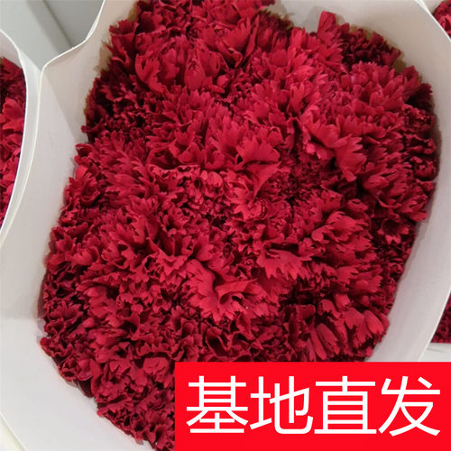 粉色康乃馨水养鲜花花束云南昆明基地直发家用母亲节礼物速递同城 - 图0