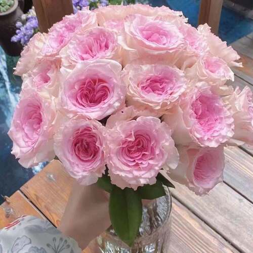 戴安娜玫瑰水养鲜切花云南昆明基地直发同城速递包邮鲜花束情人节 - 图1