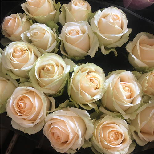 弗洛伊德艾莎玫瑰云南昆明基地发同城速递包邮鲜花家庭插花七夕节 - 图2