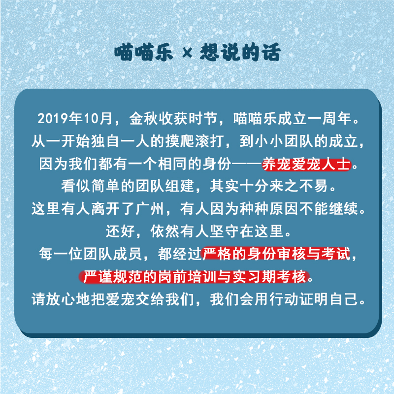 广州专业上门猫咪喂养铲屎宠物节假日周末服务寄养代替喂猫促销-图3