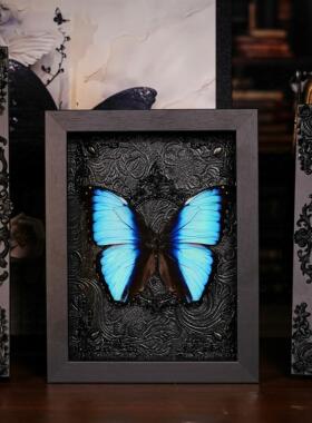 梦幻闪蝶蝴蝶标本相框成品展翅展示框昆虫名贵罕见蓝色生日礼物