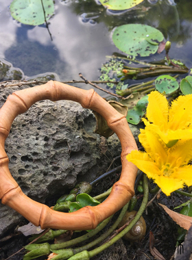 雕刻竹纹小叶紫檀节节可定制手镯