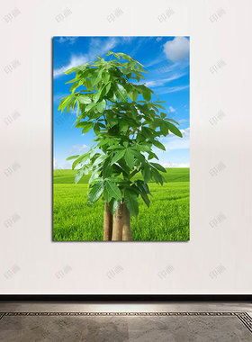 发财树招财树贴画入户玄关过道墙壁挂画一颗绿色小树海报自粘贴画