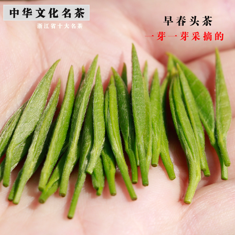 浙江宁波特产宁海望海茶高山云雾绿茶一芽一叶标准礼品茶送绿茶杯 - 图1