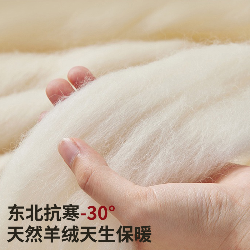 羊绒袜子女冬季中筒加绒加厚款保暖毛圈冬天超厚羊毛女士冬款长袜