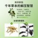 Swanson Swanson Ashwagandha Extract Capsule Powder 100 Capsules ບັນເທົາຄວາມຄຽດ, ສະກັດກັ້ນ Cortisol ແລະລະບຽບການ