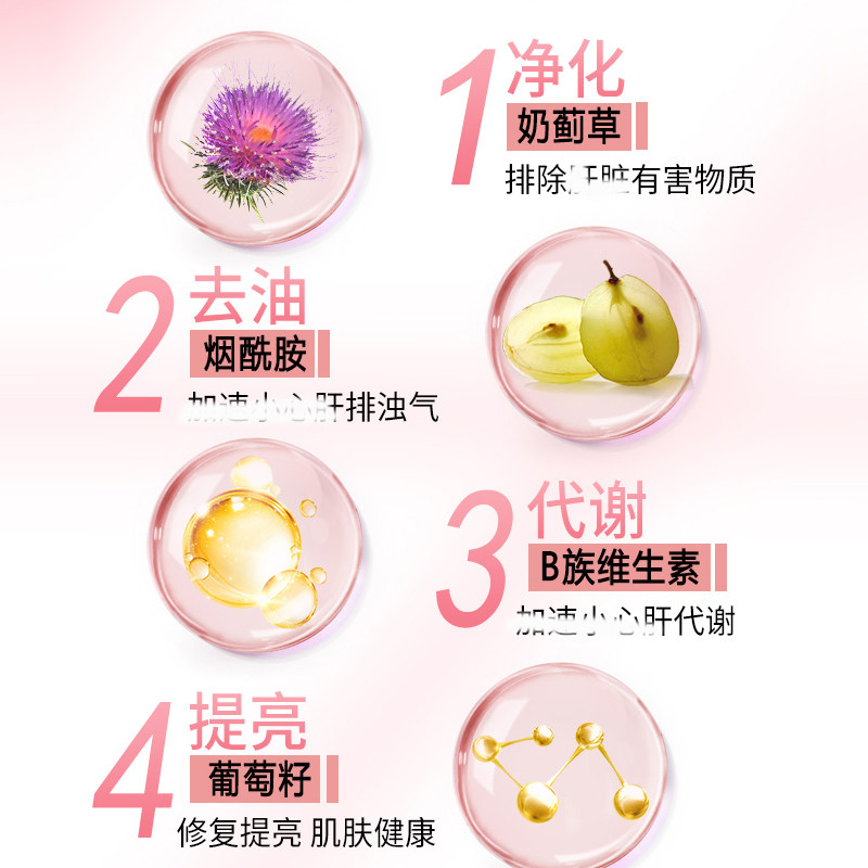 和丽康hog护肝片水飞蓟熬夜解酒药 阿里健康大药房海外店蓟类