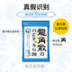 Ryukakusan Throat Lozenges ນໍາເຂົ້າຢາ Lozenges ລົດຊາດຕົ້ນສະບັບ