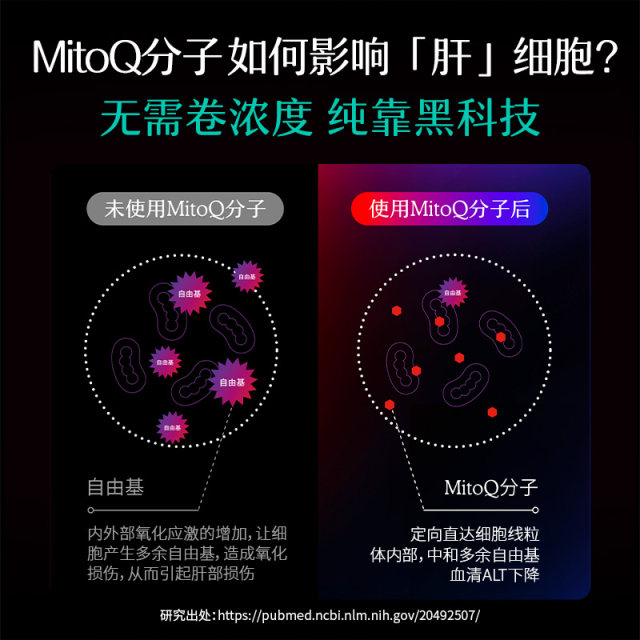 MitoQ milk thistle capsules ເນັ້ນໃສ່ສຸຂະພາບຕັບ