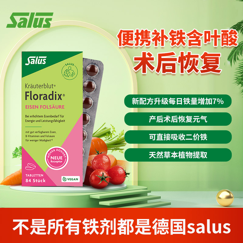 Salus Floradix德国绿版铁元片剂 补铁叶酸维生素孕妇便携装 84粒
