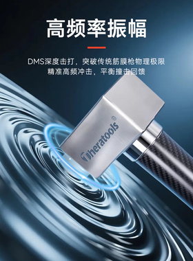 TheratoolsDMS深层肌肉刺激仪