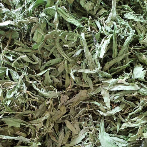 五指山食叶草海南酸叶汤五指山酸叶草酸叶鱼酸叶肉食叶草官方旗舰 - 图1