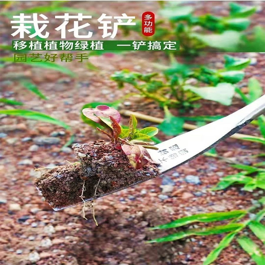 新疆西藏包邮挖野菜神器挖蒜锰钢小铲子挖荠菜园艺铁铲种花挖土除 - 图1