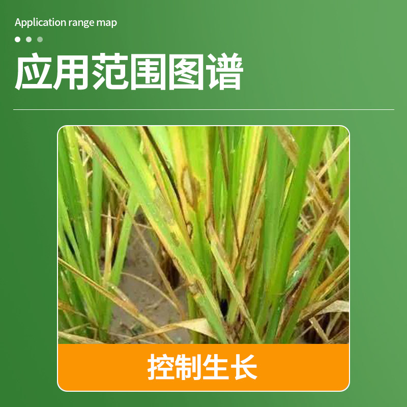 国光15%多效唑粉剂 果树植物花卉多肉矮化剂矮壮素控制生长调节剂,淘宝优惠券,粉丝福利购,淘宝优惠卷