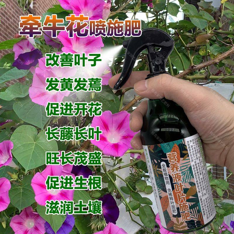 牵牛花爬藤植物专用肥料花苗发芽营养液免稀释盆栽地栽喇叭花肥料,淘宝优惠券,粉丝福利购,淘宝优惠卷