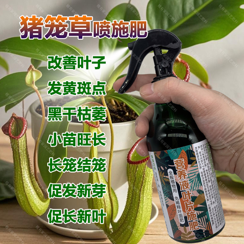 猪笼草专用肥料盆栽花肥养殖营养液叶面肥叶面肥有机肥水溶化肥料,淘宝优惠券,粉丝福利购,淘宝优惠卷