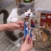 Mèo Nhật Bản ăn nhẹ chất lỏng thịt xay nhuyễn - không thêm đồ ăn nhẹ cho mèo khỏe mạnh - Đồ ăn nhẹ cho mèo
