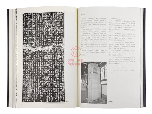 西安碑林名碑书法艺术赏析 王冰 著 文物出版社官方旗舰店 - 图0