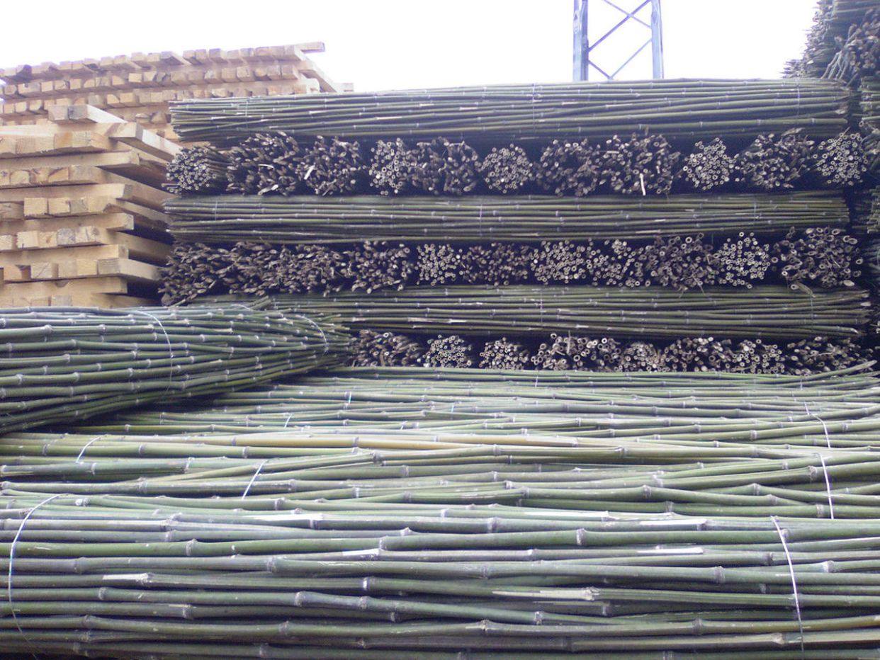 竹竿批发竹竿搭架菜园竹竿豆角架黄瓜架西红柿番茄架爬藤竹竿旗杆,淘宝优惠券,粉丝福利购,淘宝优惠卷