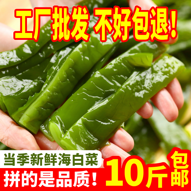 海白菜新鲜盐渍裙带菜梗段5斤商用半干货非即食海藻海带海芹菜 - 图2