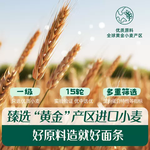 英氏碎碎面婴儿面条宝宝面条无添加食盐 短面粒粒面宝宝辅食面条 图片 4