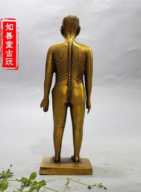 仿古风黄铜中医模型摆件装饰品