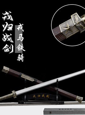 龙泉戎归战之剑汉剑一体龙骨花纹退伍纪念送战友定制礼品未开刃