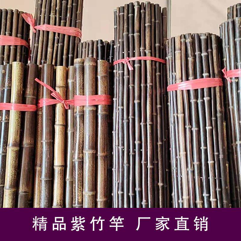 天然黑竹子紫竹竿装饰竹根竹鞭日式篱笆栅栏院墙围栏隔断屏风竹杆_虎窝淘