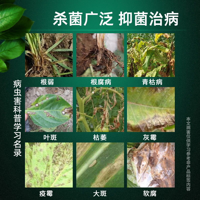 菌立清微生物菌剂新型杀菌剂根腐枯黄灰霉病白粉病叶斑病炭疽病 - 图1