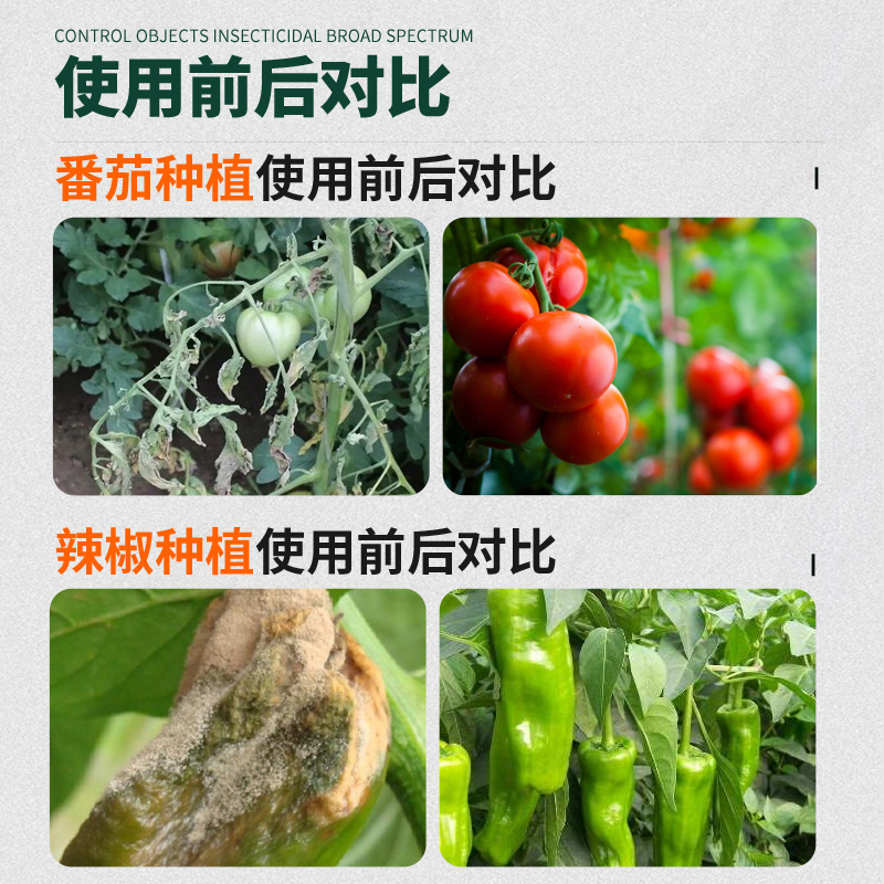 菌立清微生物菌剂新型杀菌剂根腐枯黄灰霉病白粉病叶斑病炭疽病 - 图2