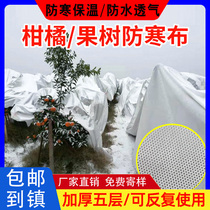 Fruit tree anti-cold cloth citrus trees Insured garden plant anti-frost cover flower Greening anti-freeze and rain-proof water moisturizing