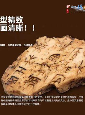 文树脂甲骨文彷硬真小摆件龟甲骨字化石儿童古认知早兽教玩具模型