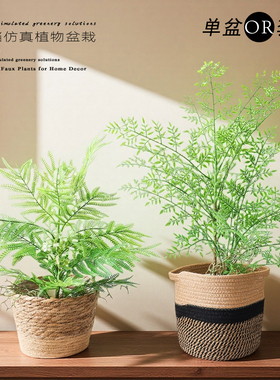 仿真植物盆栽造景组合套装小型