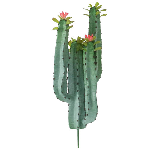 仿真多肉植物仙人掌仙人球热带绿植橱窗装饰造景摆件北欧ins假花 - 图3