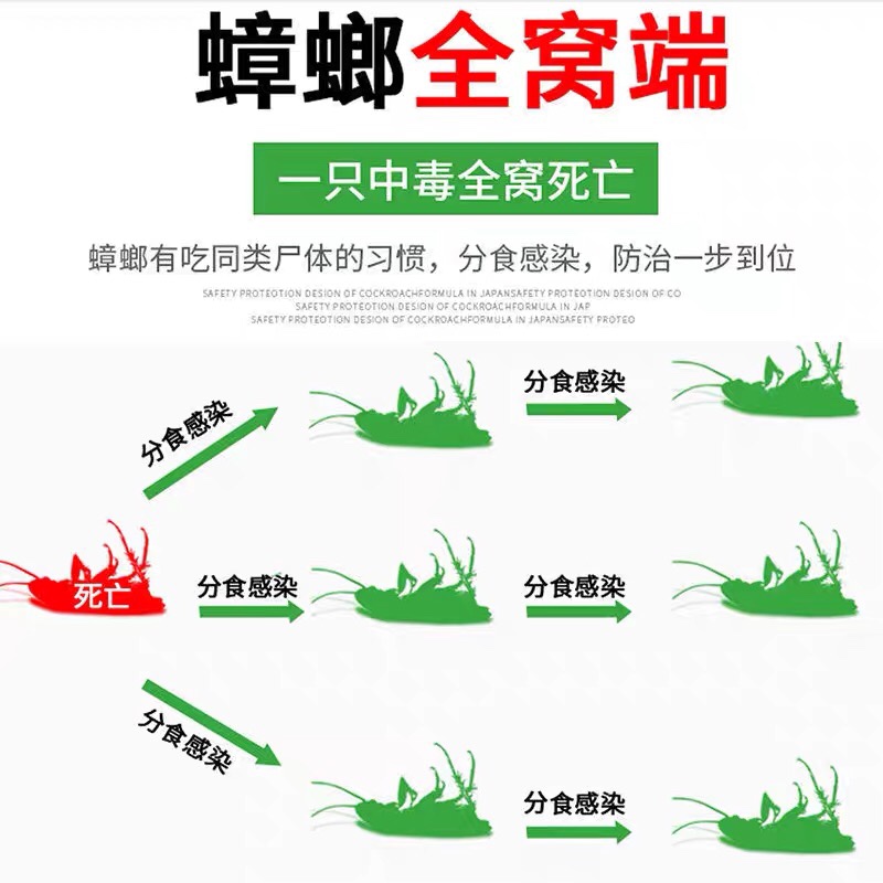 蟑螂药全窝端正品郁康家用非无毒强力一锅端除小强餐厅厨房用神器 - 图1