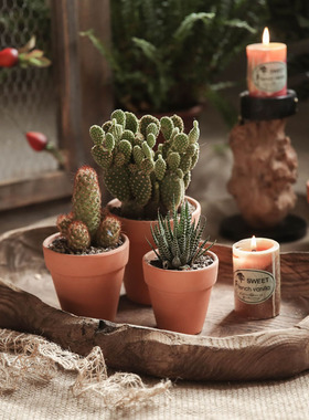 左岸麦田木器之美侘寂风糖果盘