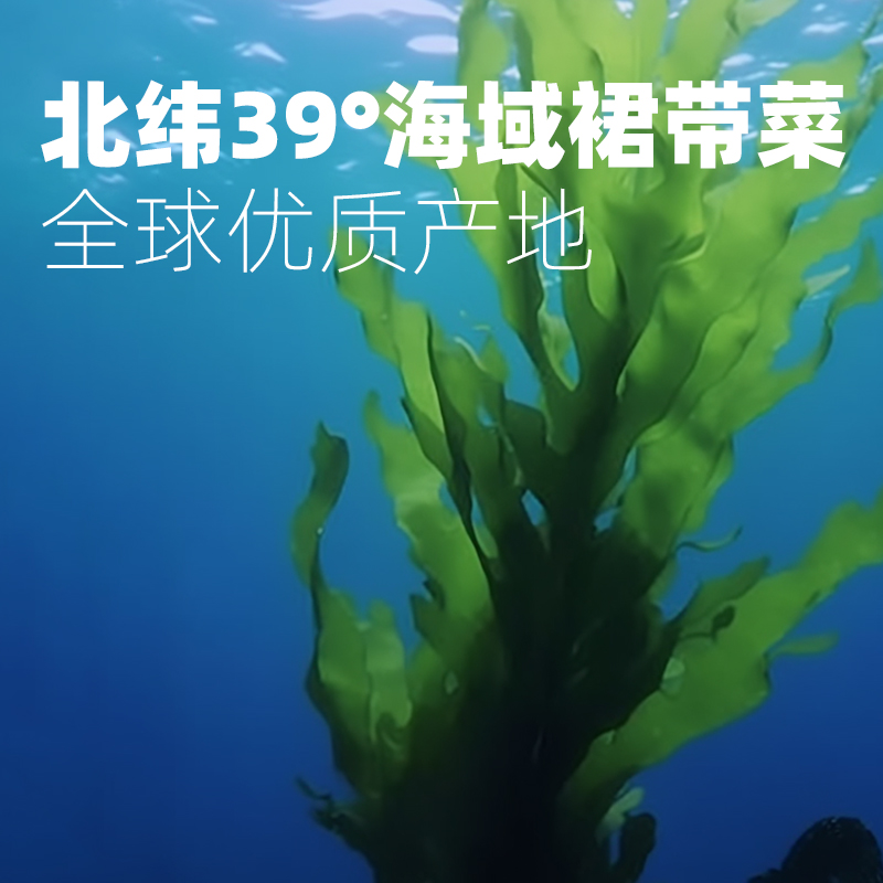 【临期品】盖世开袋即食海白菜裙带菜梗段美人唇片海藻即食凉拌菜-图1