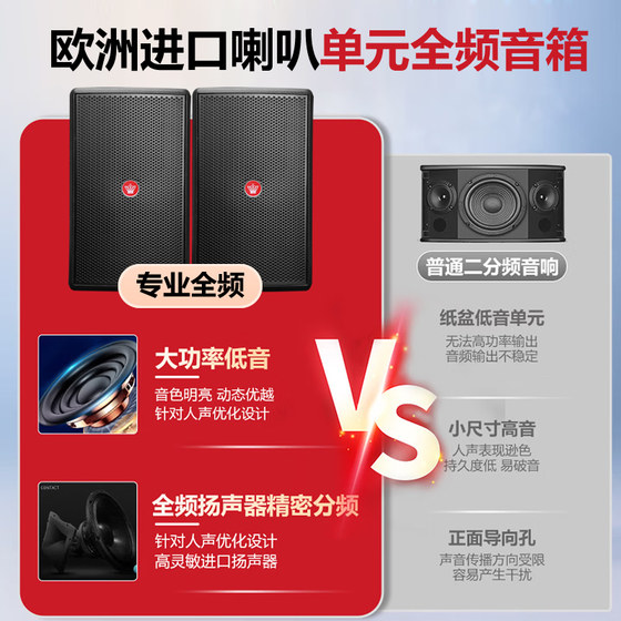 AVANCE丹麦皇冠NK进口单元家庭KTV专业卡拉OK音响套装唱歌家用K歌