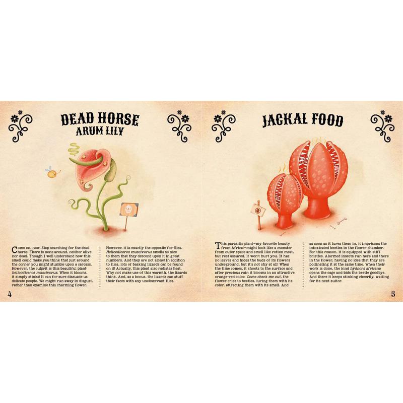 神奇的植物世界 Amazing Plants of the World 英文原版 儿童科普绘本 动物知识百科图画书 精装进口 儿童读物 大音