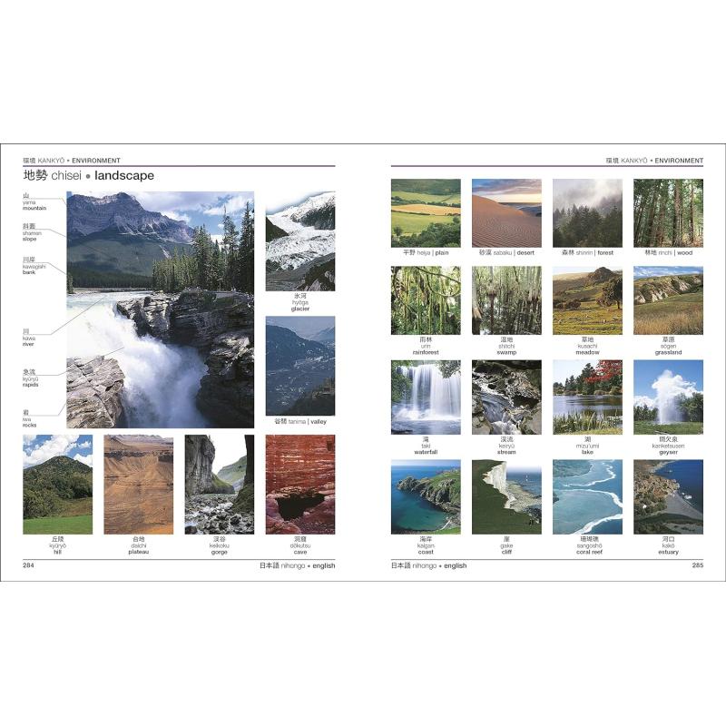 预售 Japanese-English Bilingual Visual Dictionary DK日英双语视觉词典 配免费音频app 英文日文对照原版进口图书 大音 - 图2