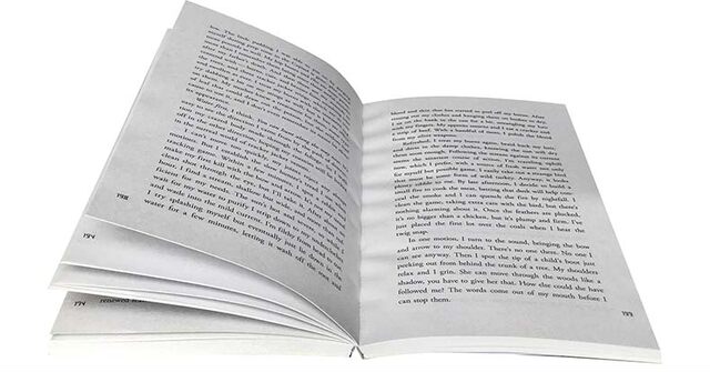 English original The Hunger Game1 The Hunger Game 1 science fiction movie original book of the same name for teenagers English extracurricular advanced reading science fiction thriller adventure novel book