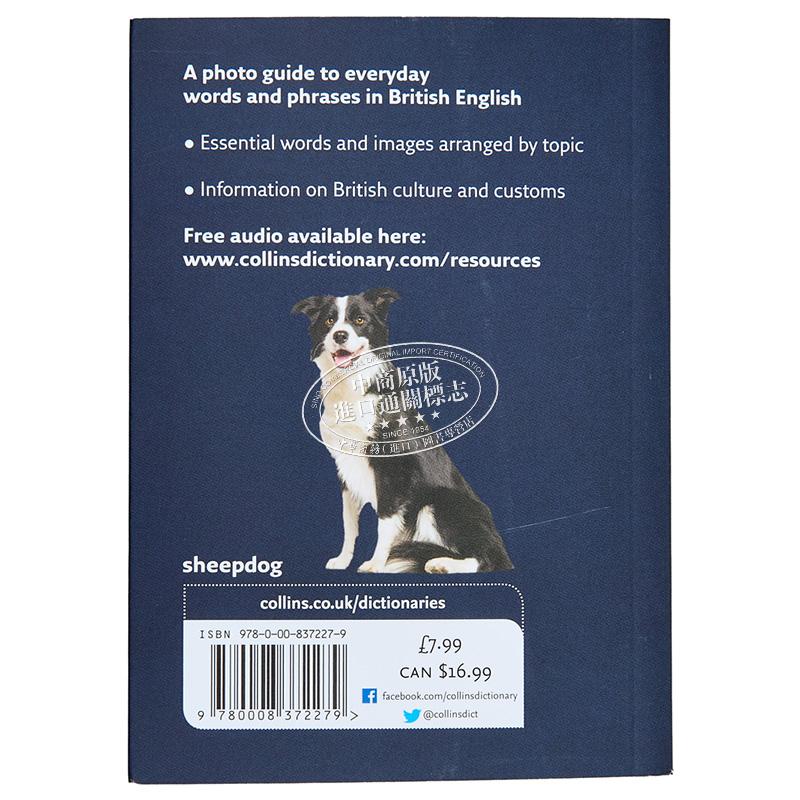 Collins English Visual Dictionary 英语视觉词典 英语日常单词和短语的图片指南 柯林斯视觉词典 英文原版 大音