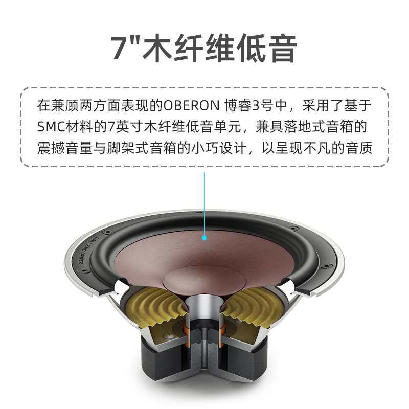 DALI/达尼博睿3无源hifi书架音箱发烧级高保真家用音响功放一体机 - 图1