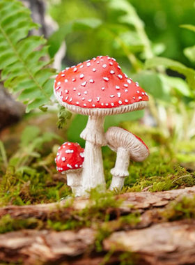 跨境创意苔藓微景观三连