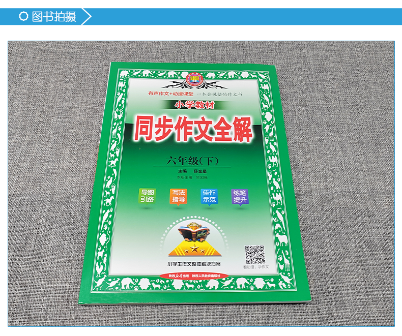 2024春季小学教材同步作文全解六年级下册人教版6年级语文作文同步训练辅导资料工具书 金星教育小学生作文整体解决方案 - 图2