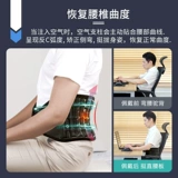 Импортированный дискдр Медицинский пояс поясничный межпозвоночный диск выступает по лечению