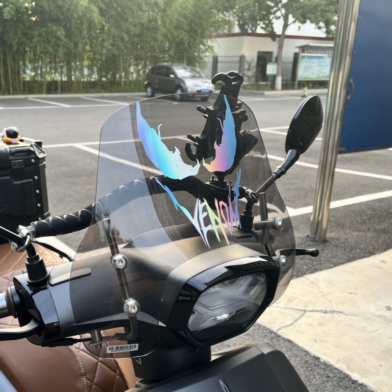 适用钱江劲150cc鸿150RS车头个性改装饰反光贴纸风挡拉花版画配件 - 图2