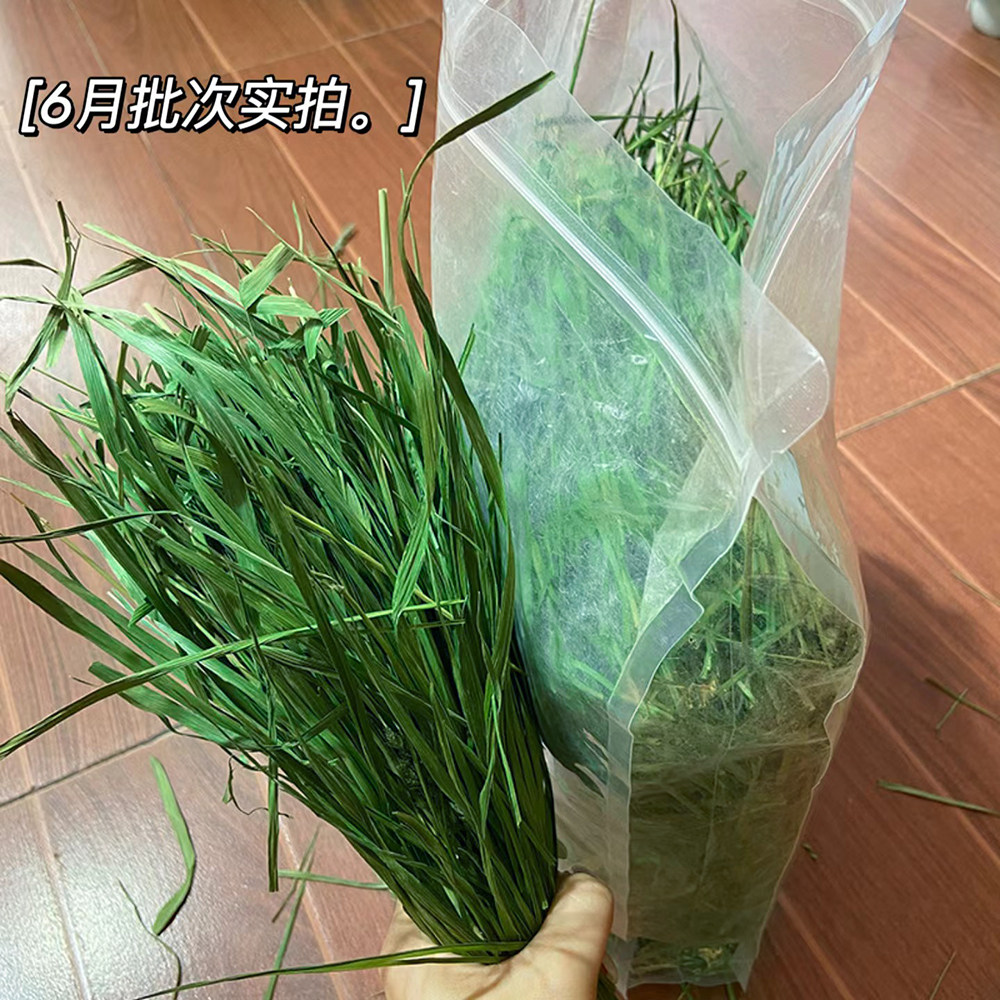25年5A烘干提摩西草段干草兔子草烘干北提龙猫豚鼠牧草500g包邮,淘宝优惠券,粉丝福利购,淘宝优惠卷