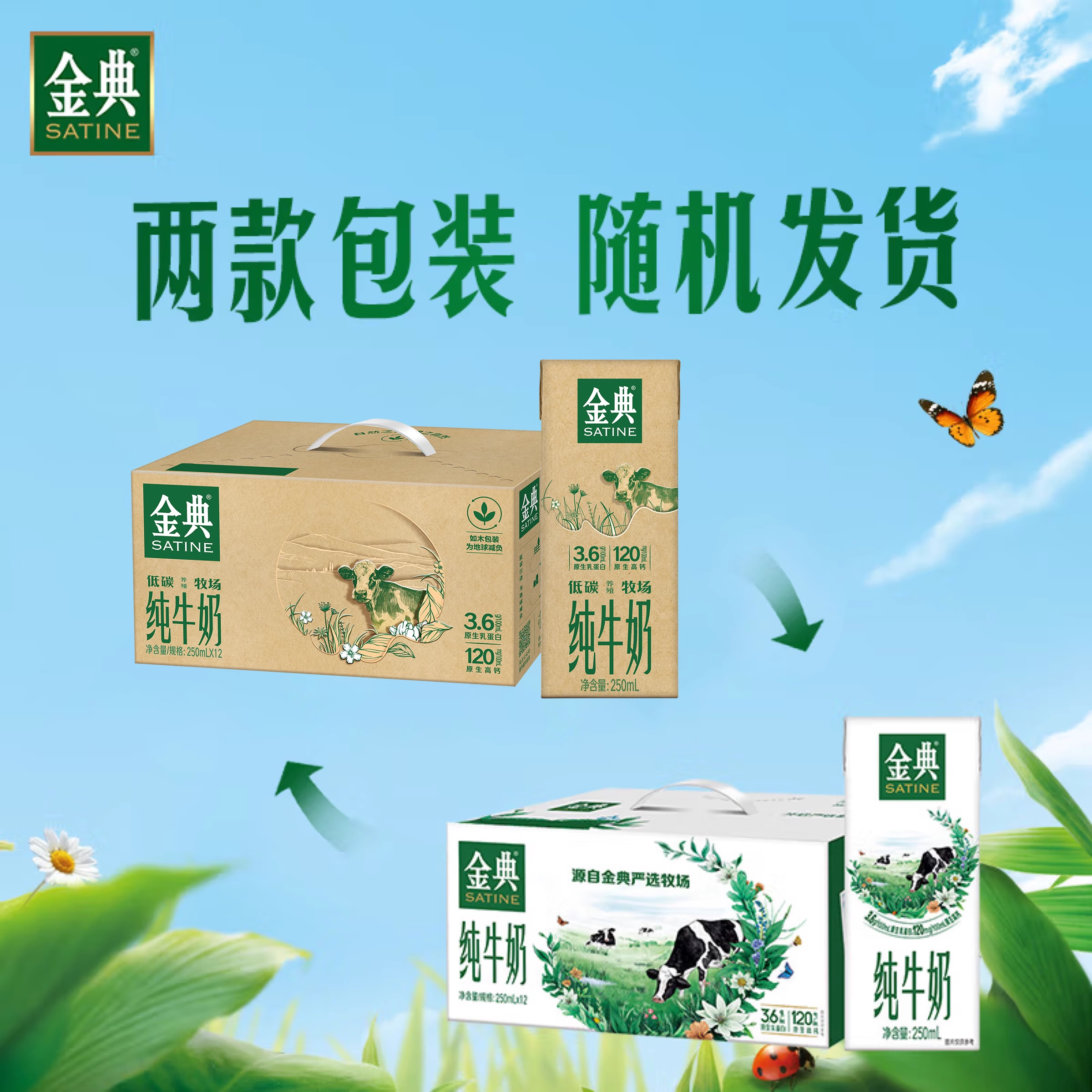 伊利旗舰店金典纯牛奶/高钙低脂纯牛奶12盒*1箱营养早餐百补10月,淘宝优惠券,粉丝福利购,淘宝优惠卷